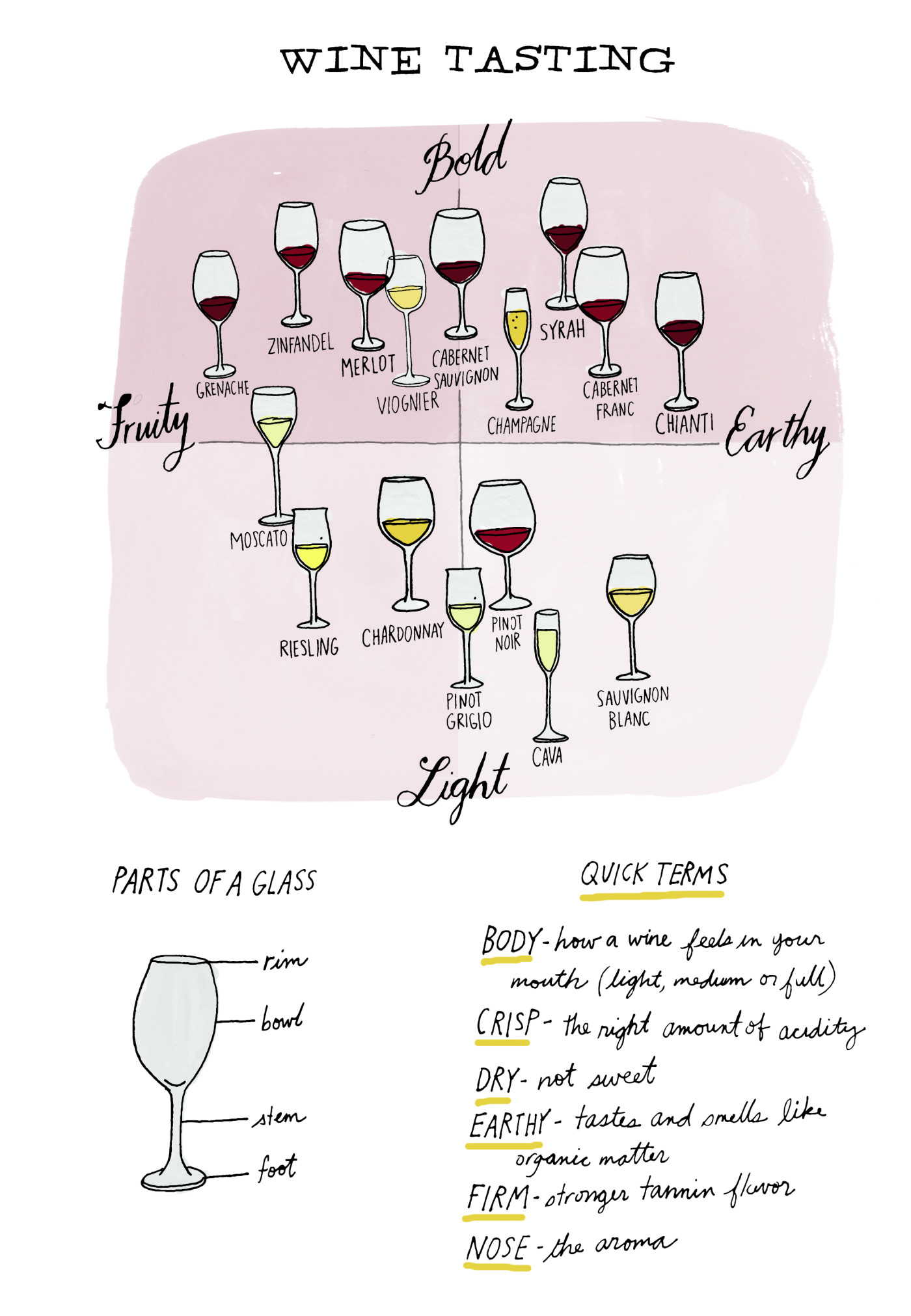 Check Out This Illustrated Crash Course In Wine Tasting - Food Republic