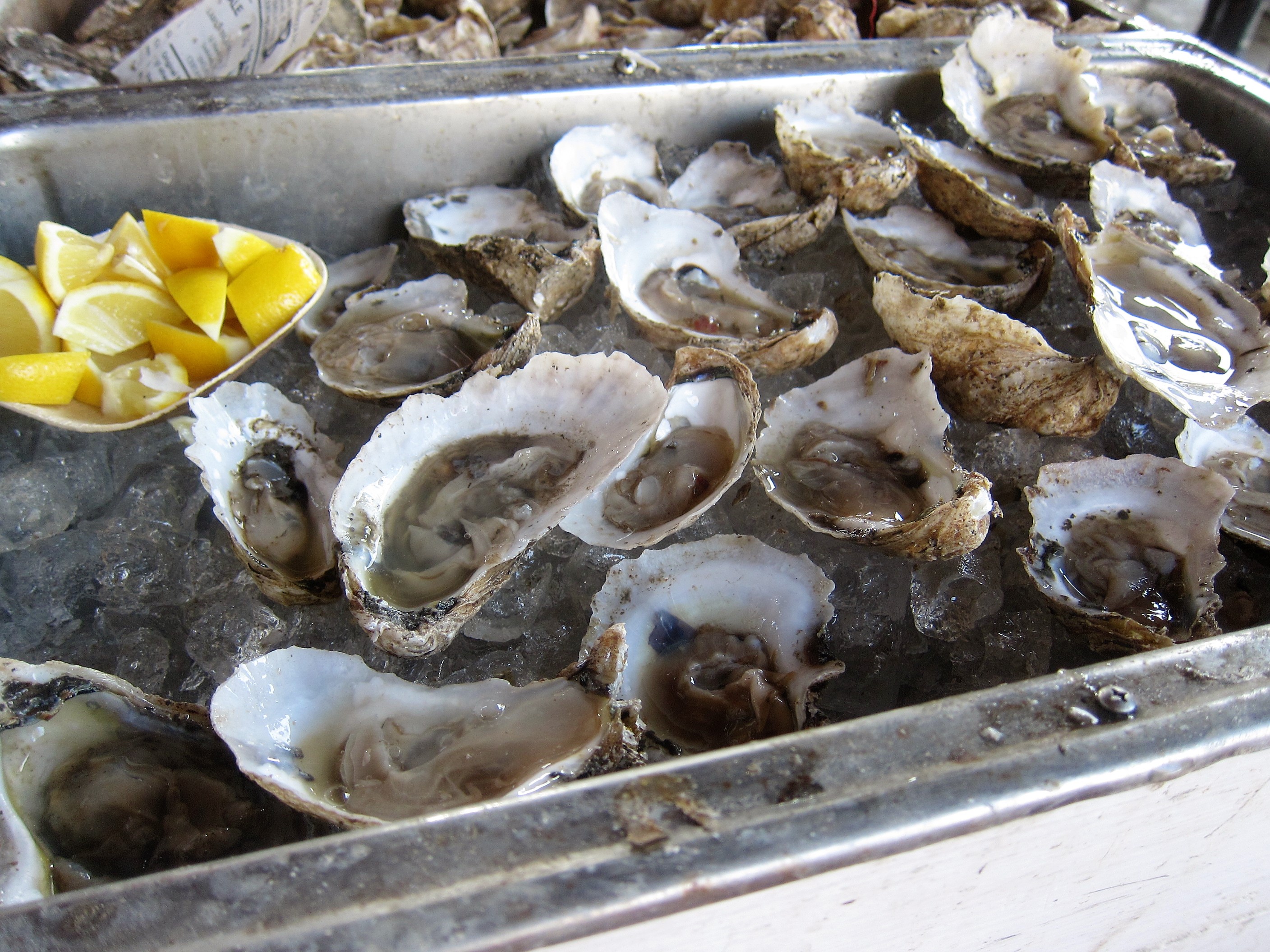 Shucked Oysters Food Republic