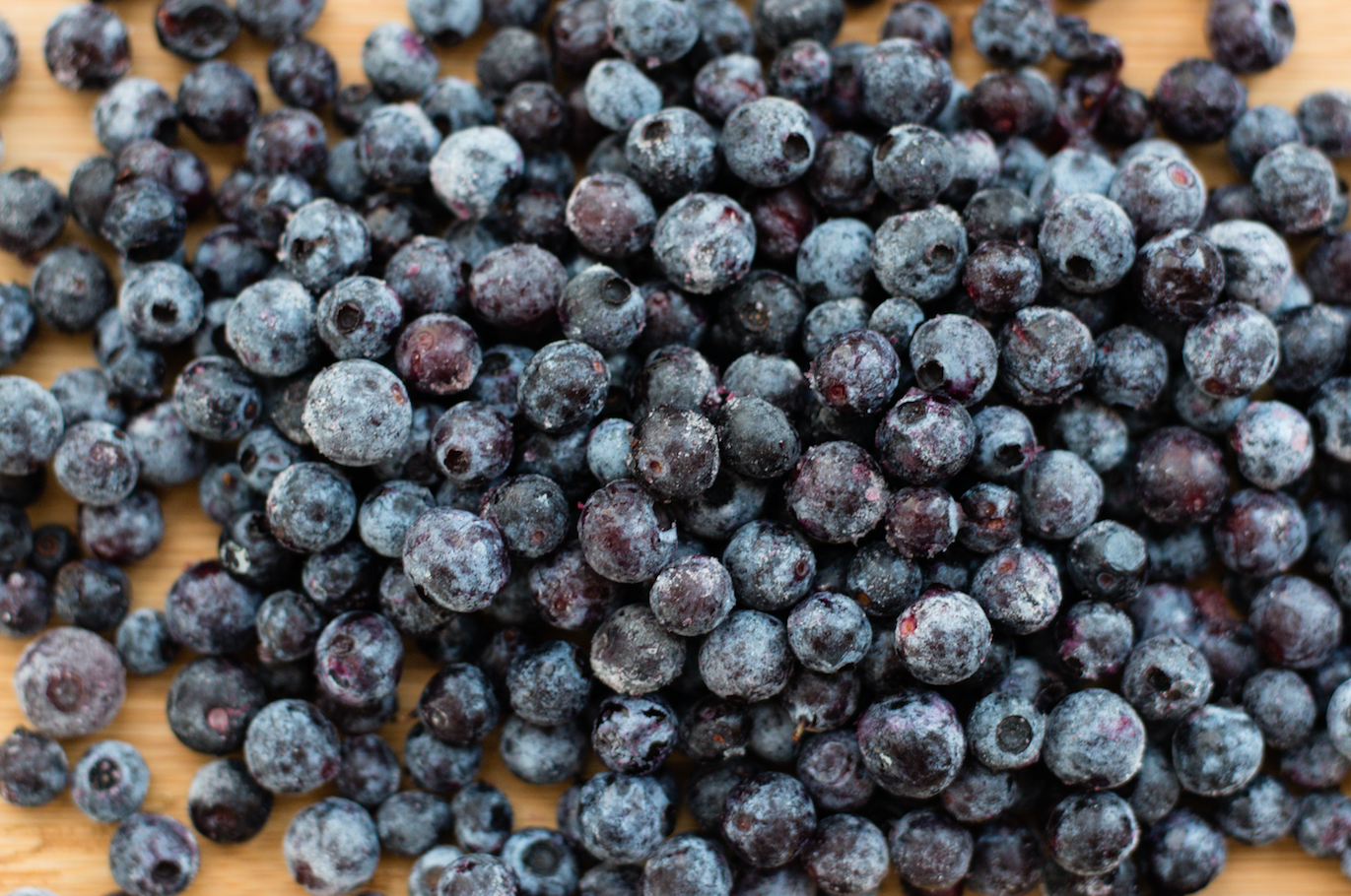 10 Things You Didn't Know About Wild Maine Blueberries. Now In Season